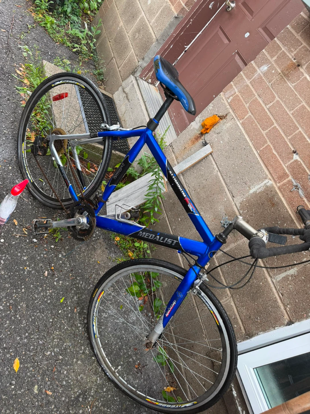 Blue "Medalist" Road Bike