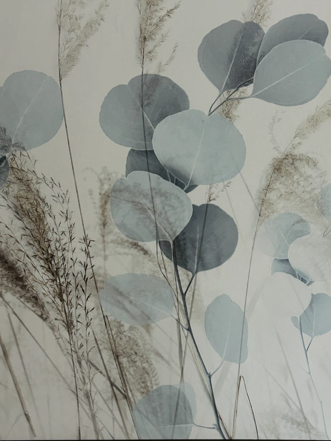 Bouclair Framed Eucalyptus and Pampas Wall Art - photo 4