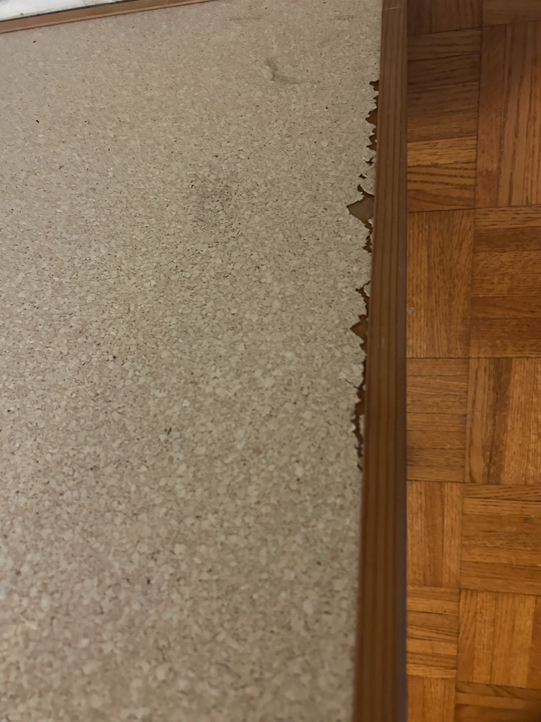 Cork Bulletin Board - photo 2