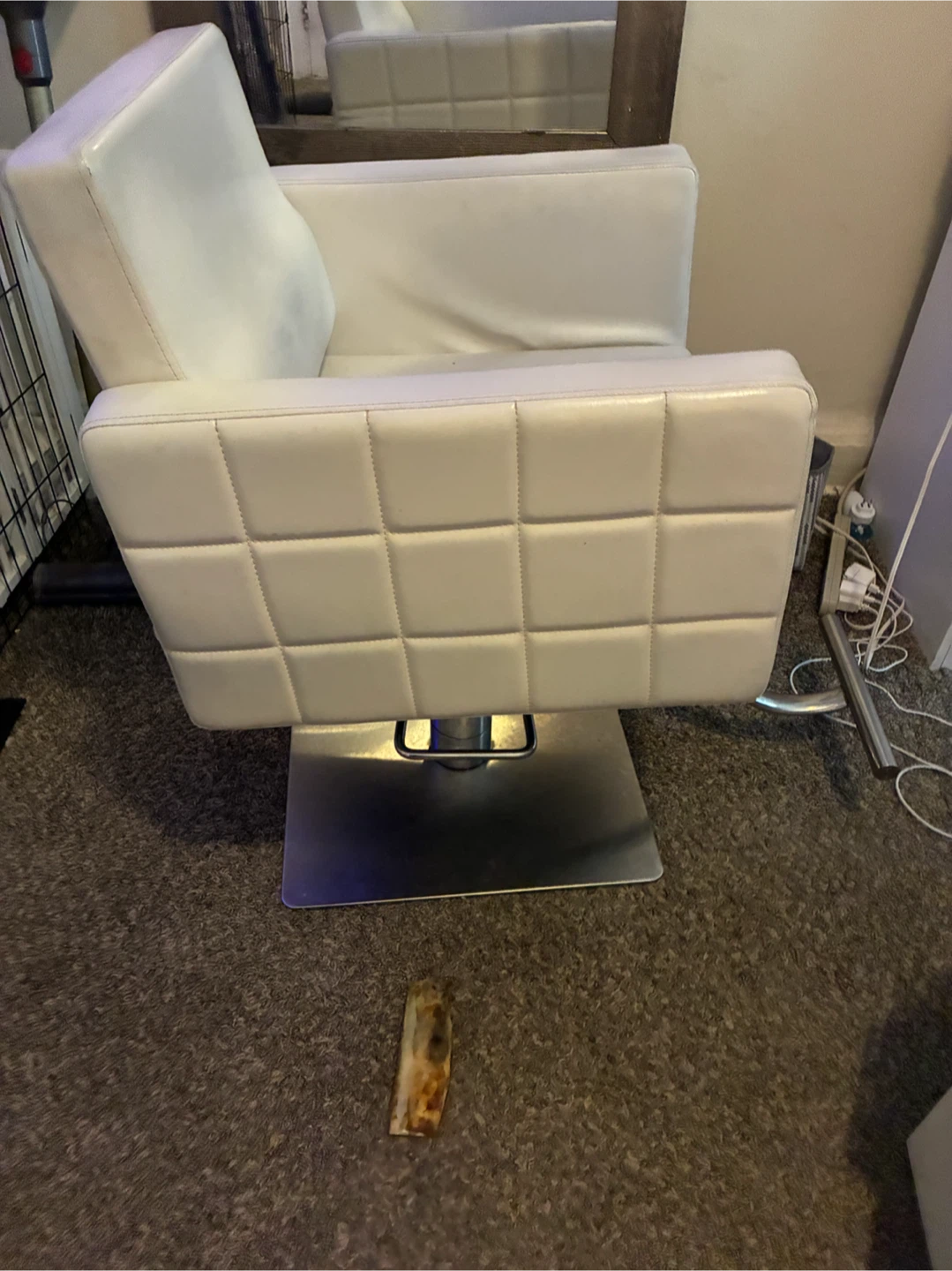 Salon Chair