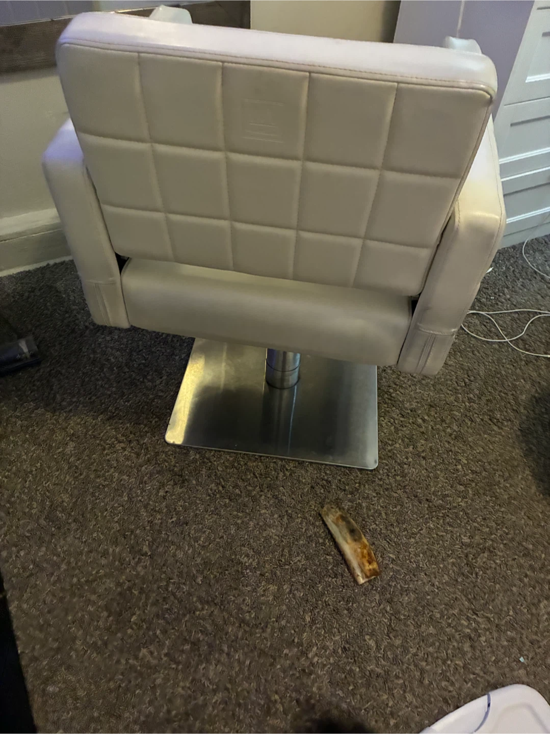 Salon Chair - photo 3