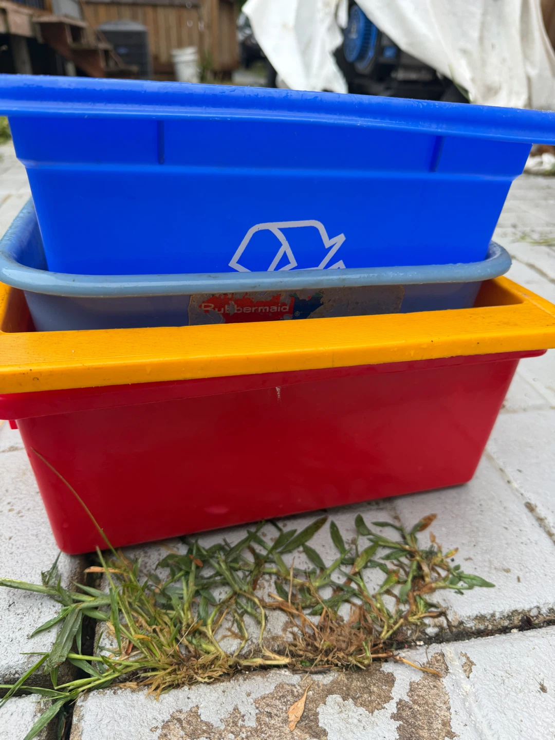 4 Rubbermaid Recycling Bins - photo 4