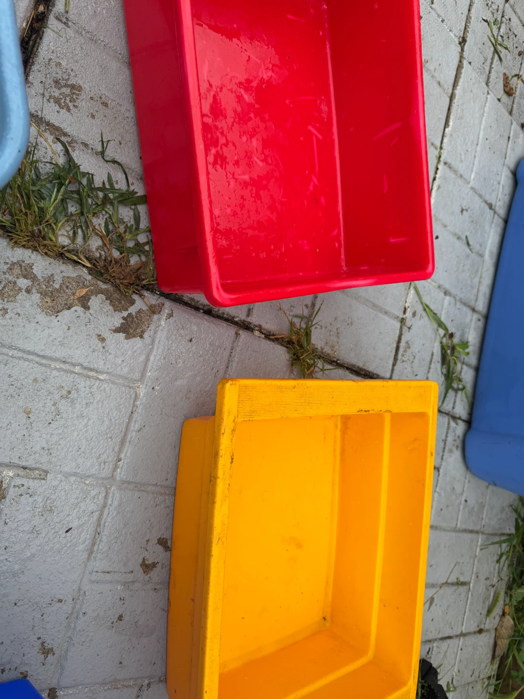 4 Rubbermaid Recycling Bins - photo 5