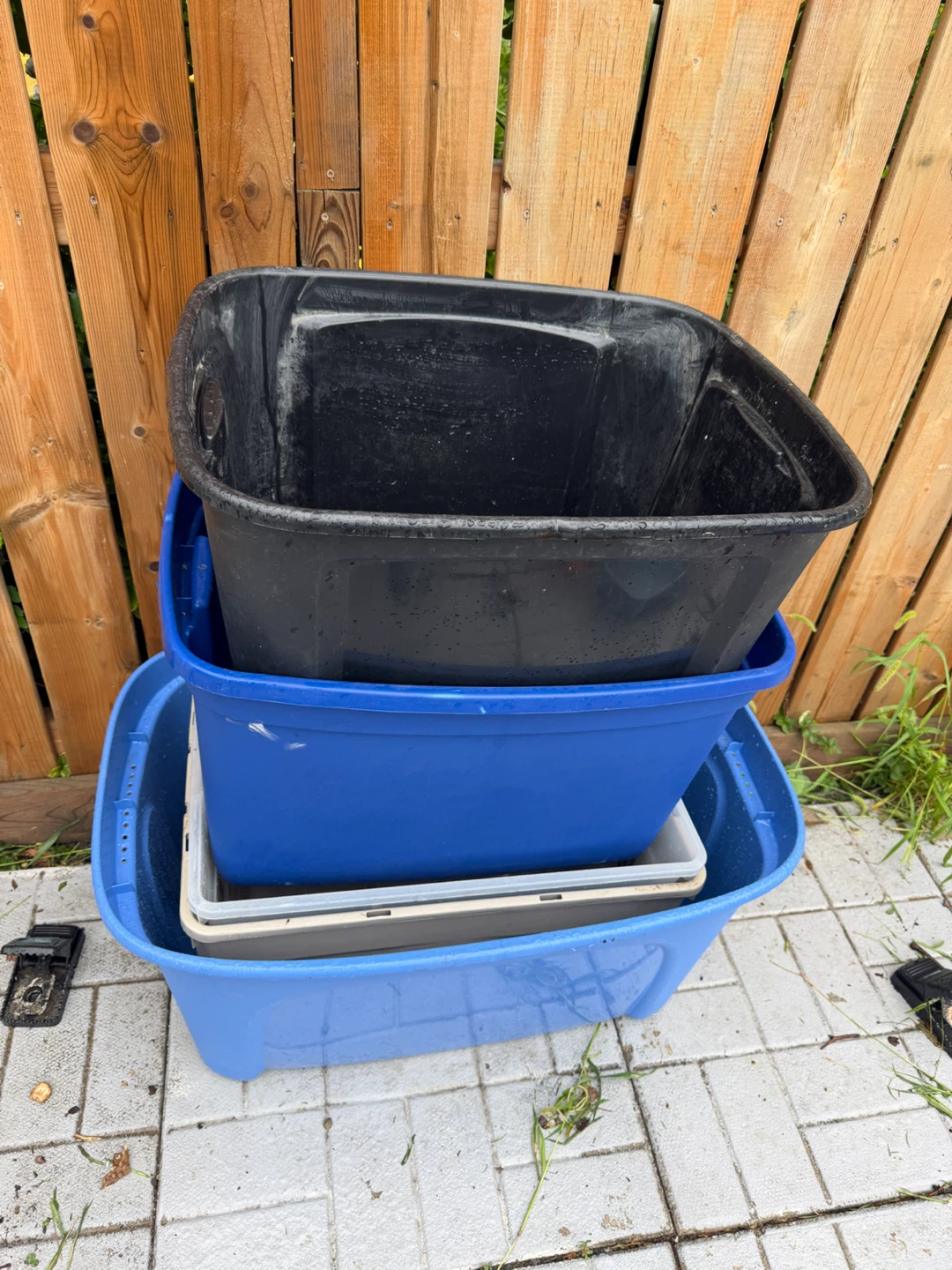 5 plastics boxes - no lid - all for 15$