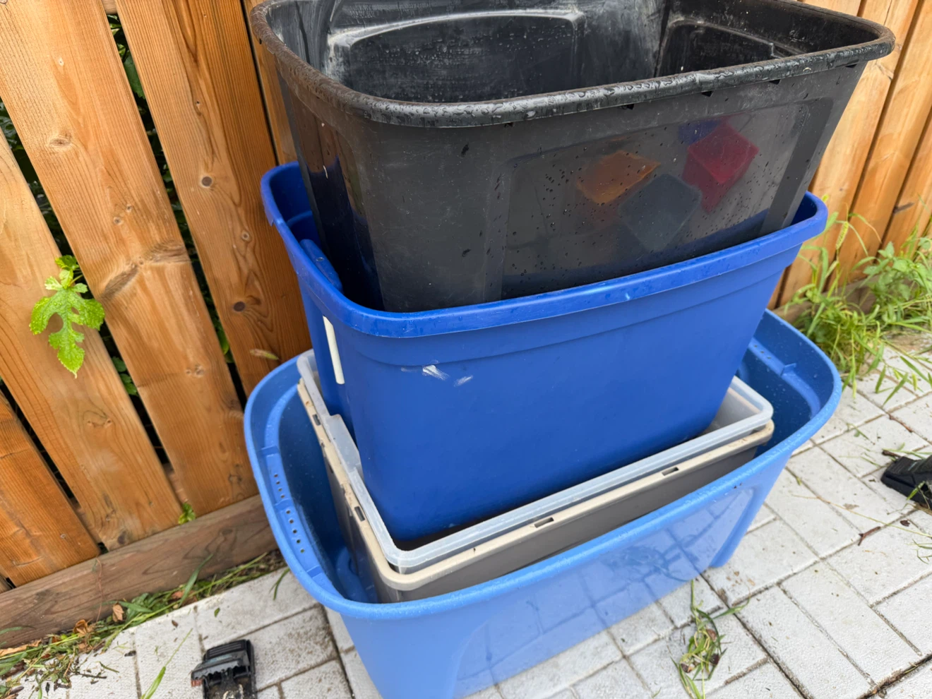 5 plastics boxes - no lid - all for 15$ - photo 2