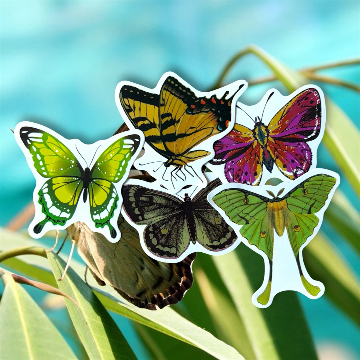 Butterfly Stickers - Set of 5 - photo 2