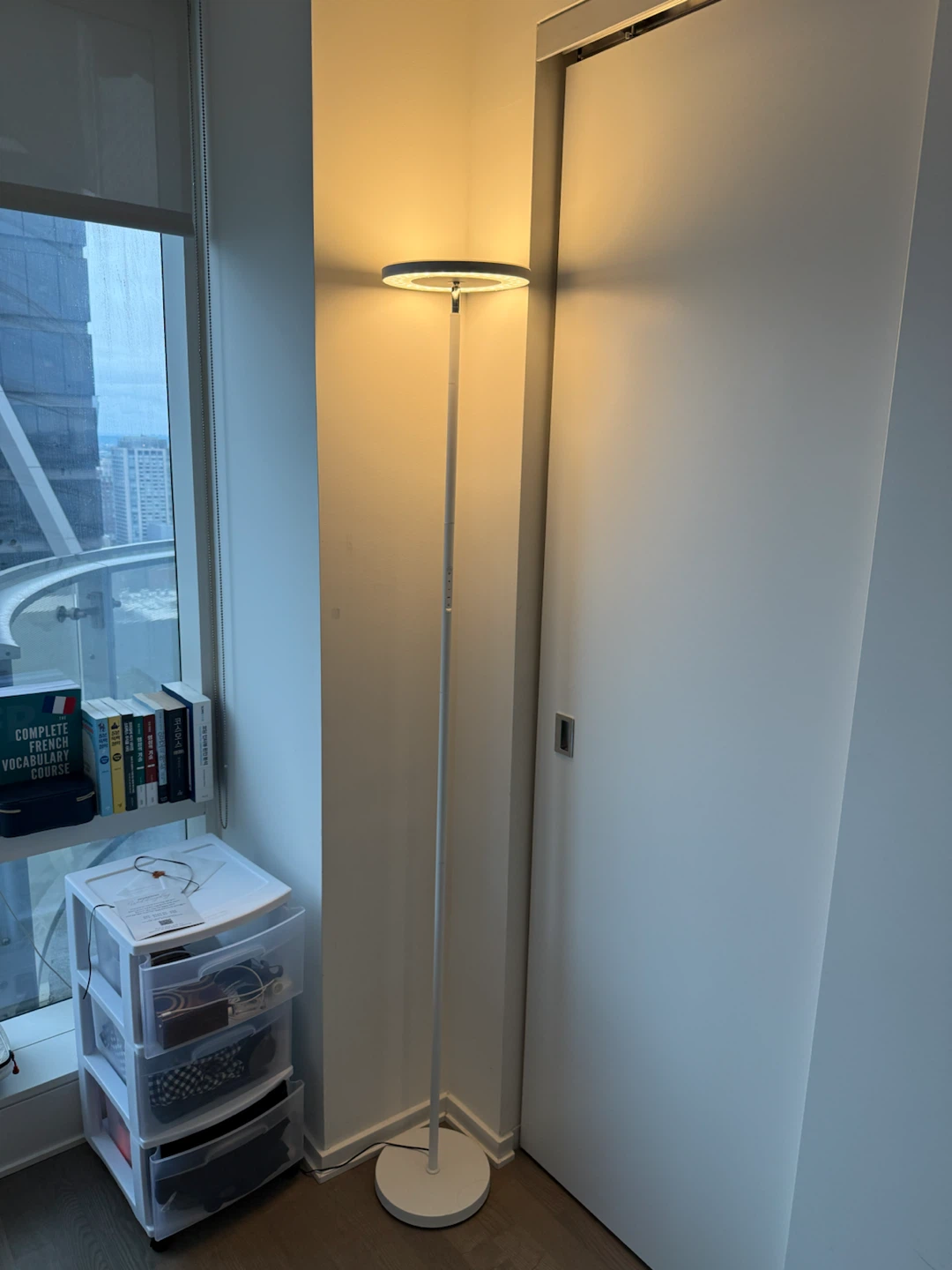LED Floor Lamp with Remote