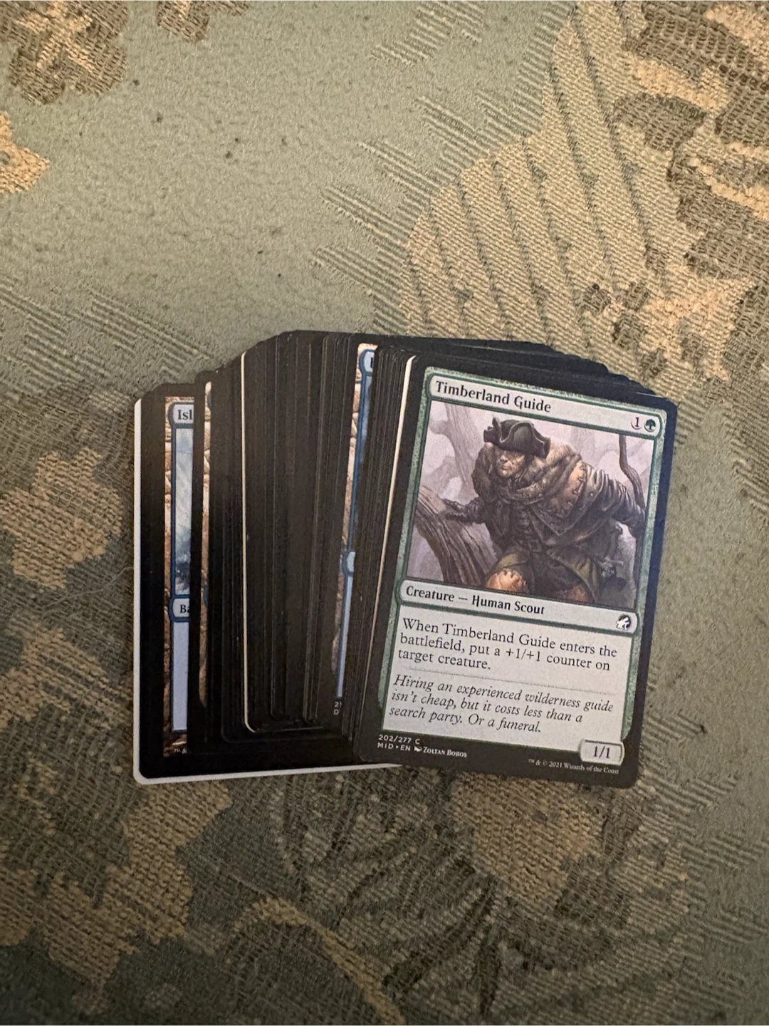 63 Magic: The Gathering cards