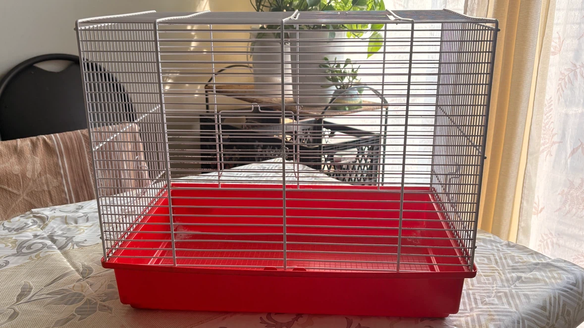 Bird cage