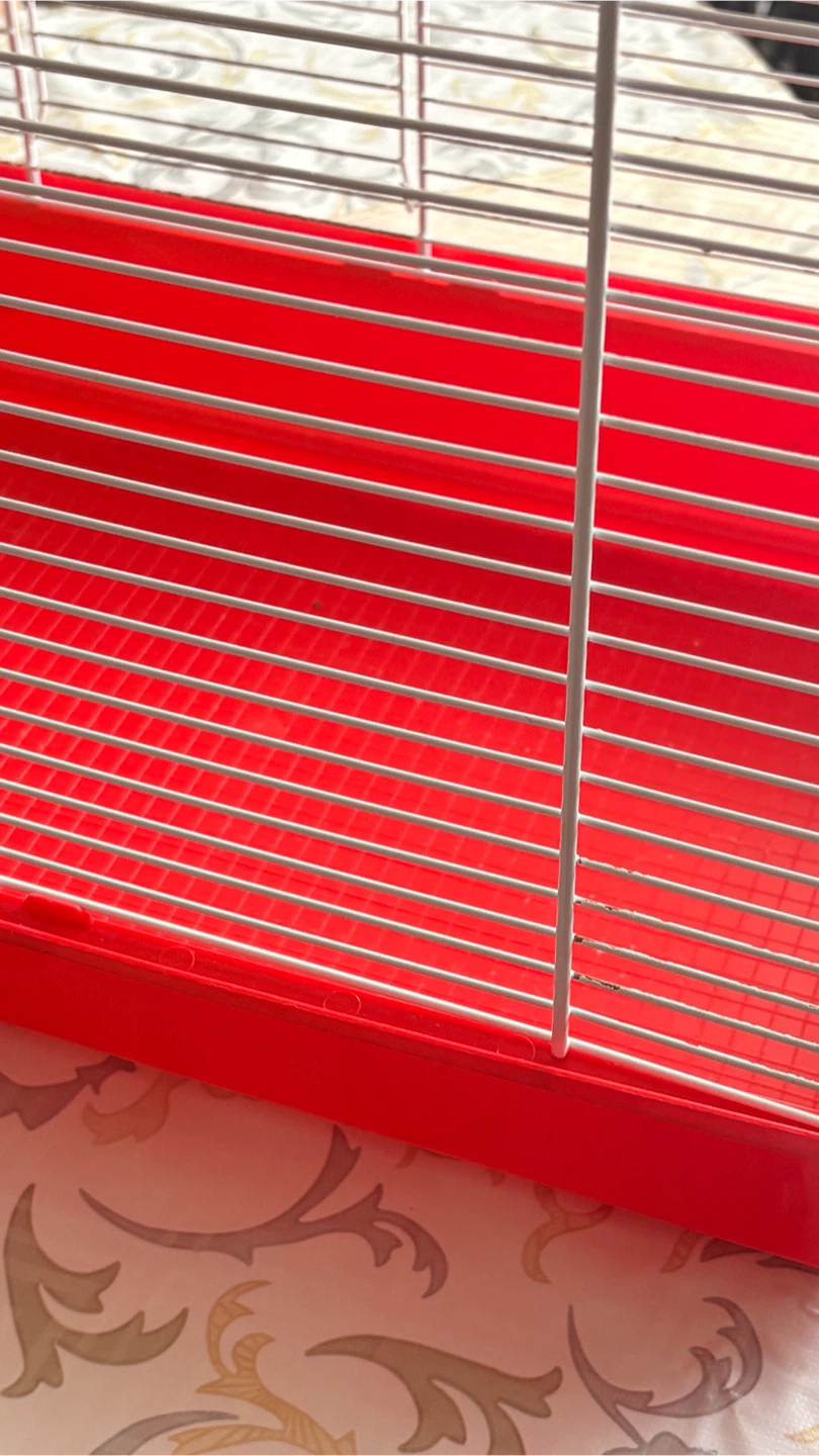 Bird cage - photo 2