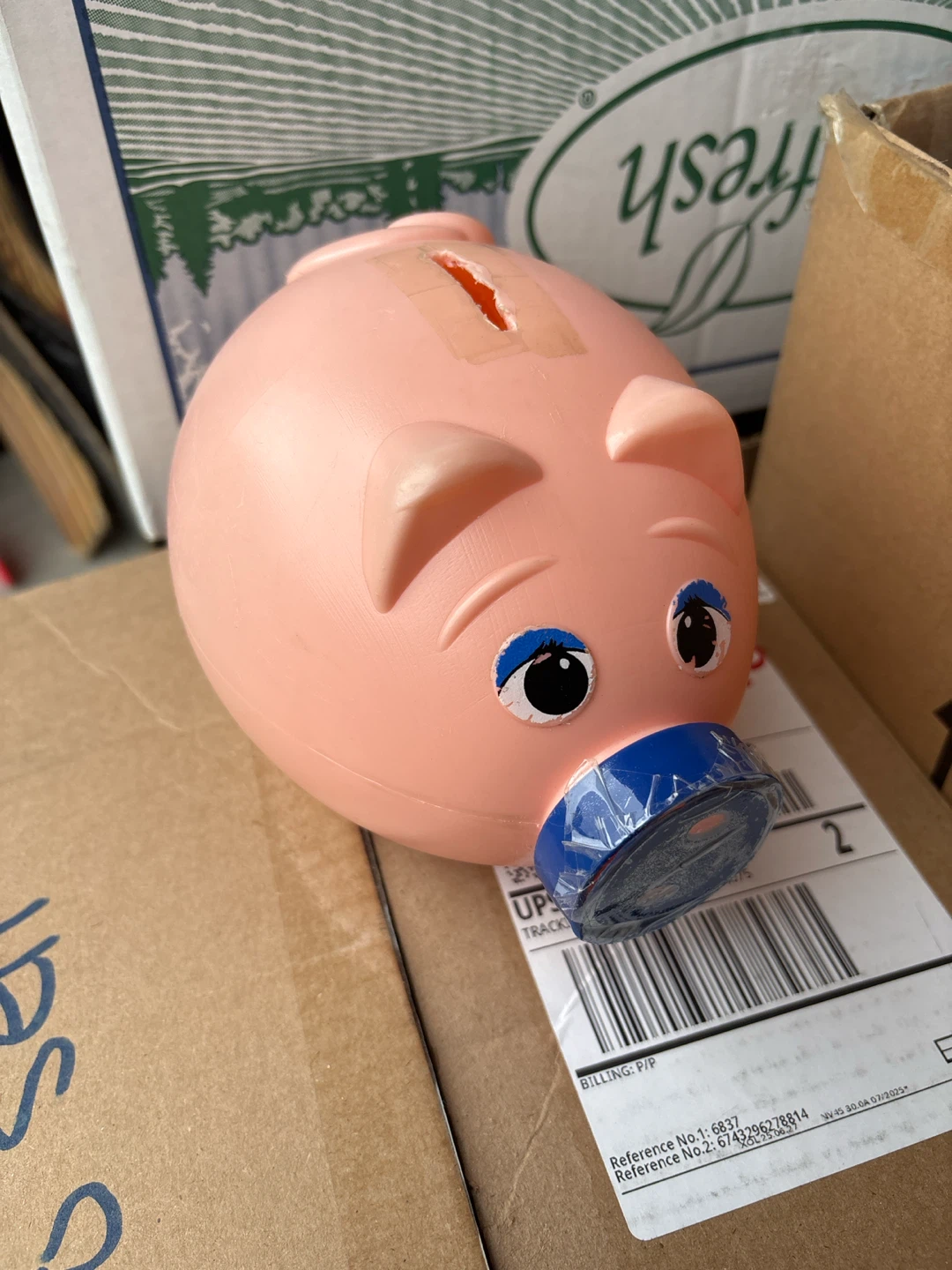 Pink Piggy Bank