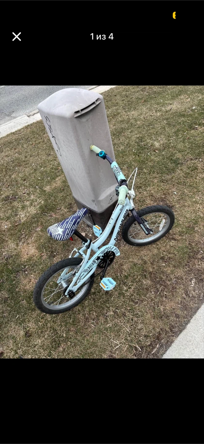 Nakamura Kids Bike with Training Wheels