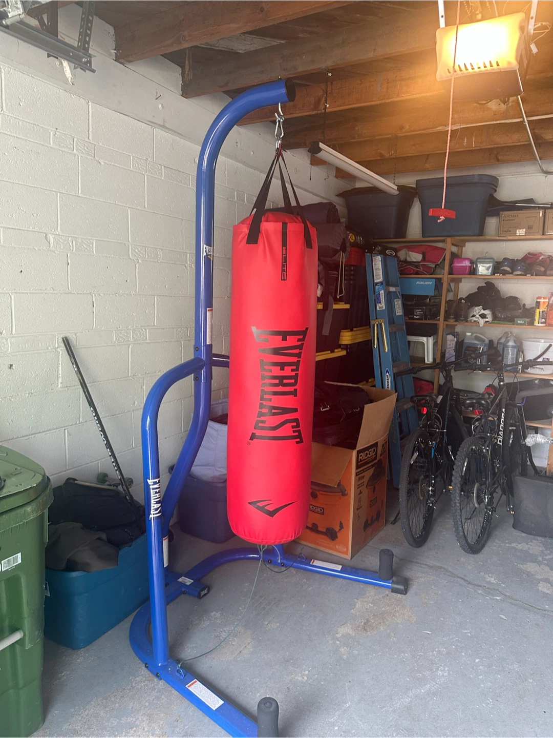 Everlast Red Punching Bag with Stand