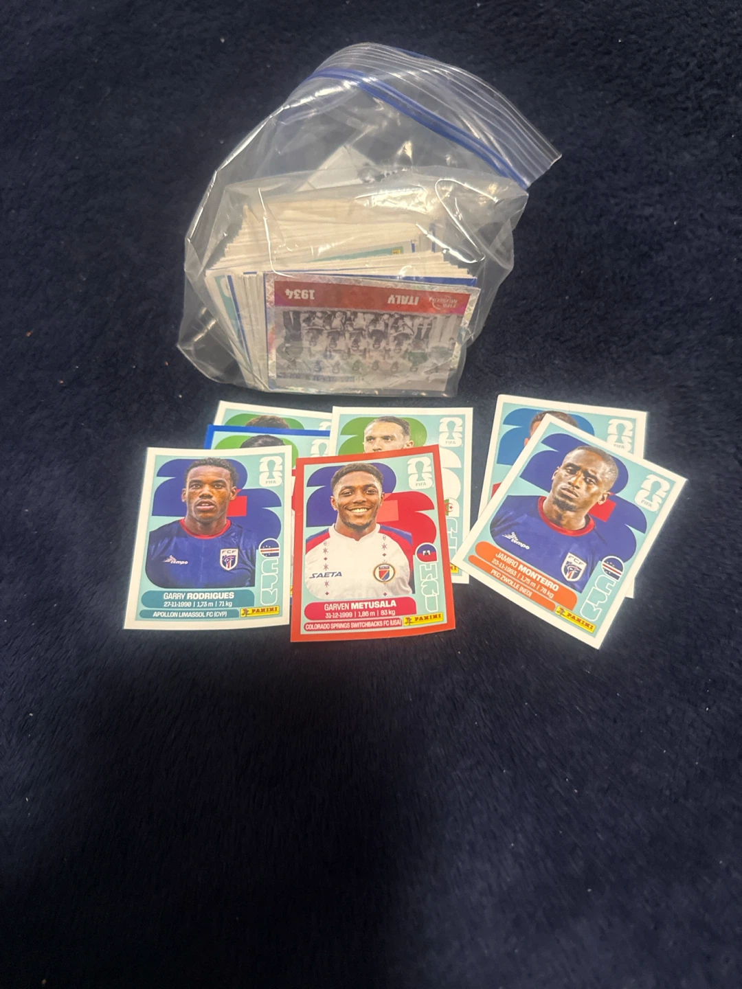 Panini Soccer Trading Cards Bundle