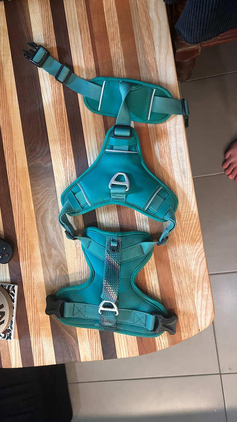 Teal Dog Harness