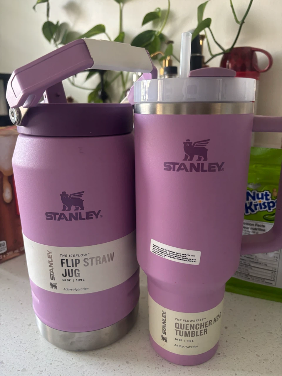 Stanley The IceFlow Flip Straw Jug & Quencher Tumbler - Purple