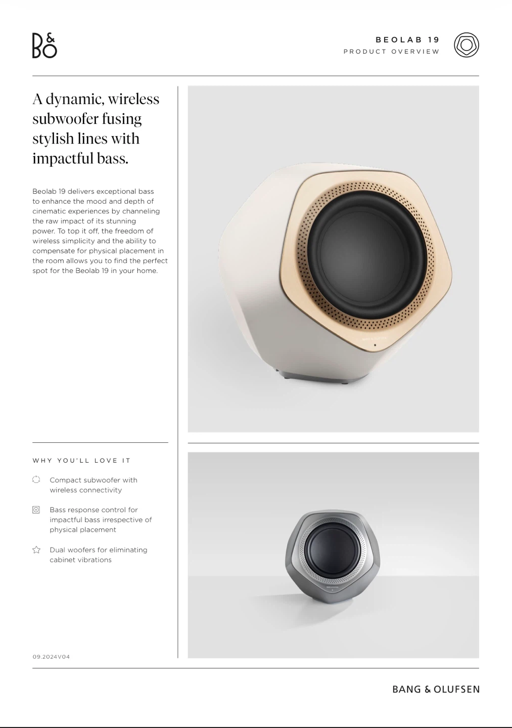 Bang & Olufsen Beolab 19 Subwoofer - photo 4