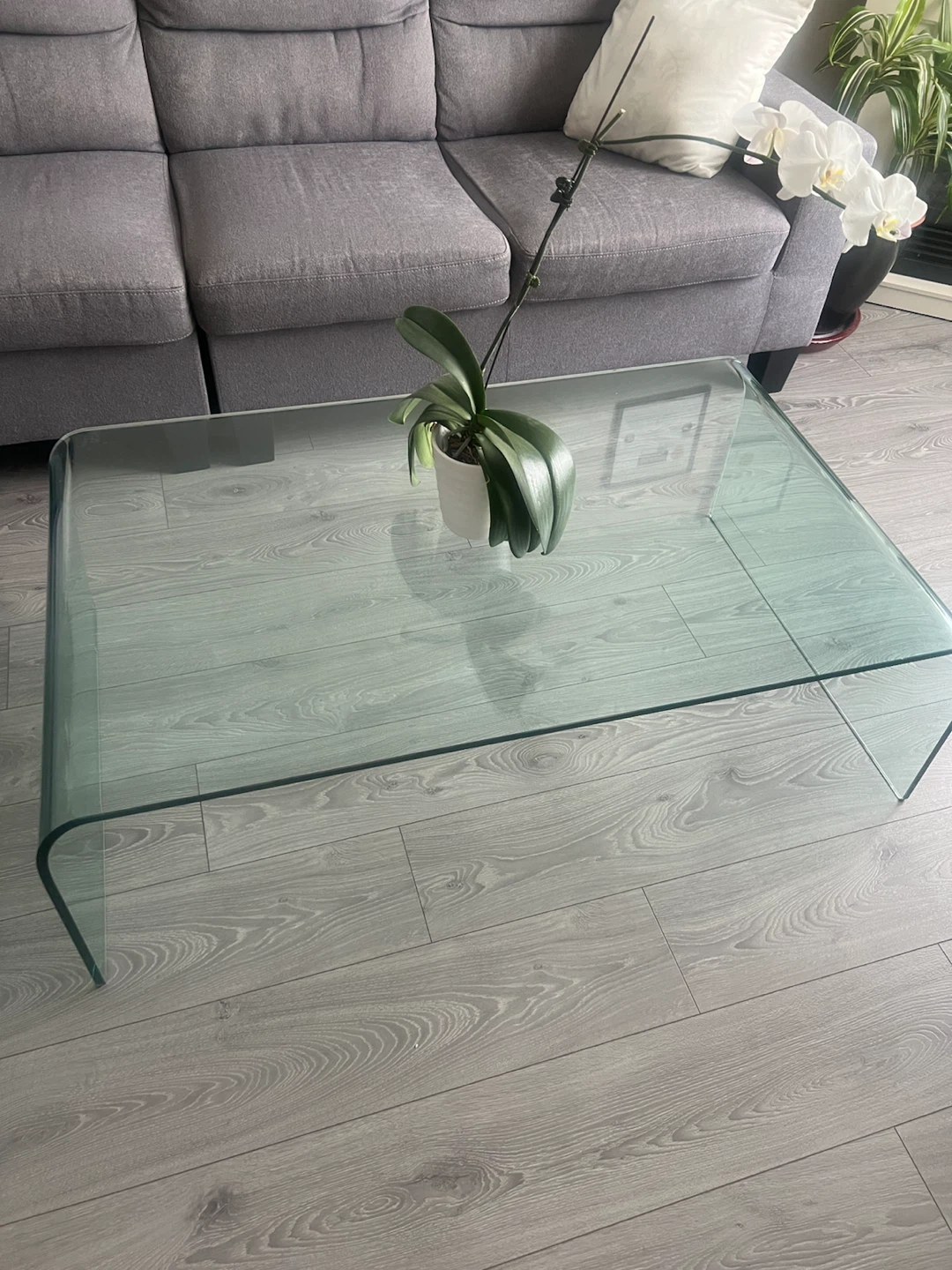Curved Glass Coffee Table - photo 2