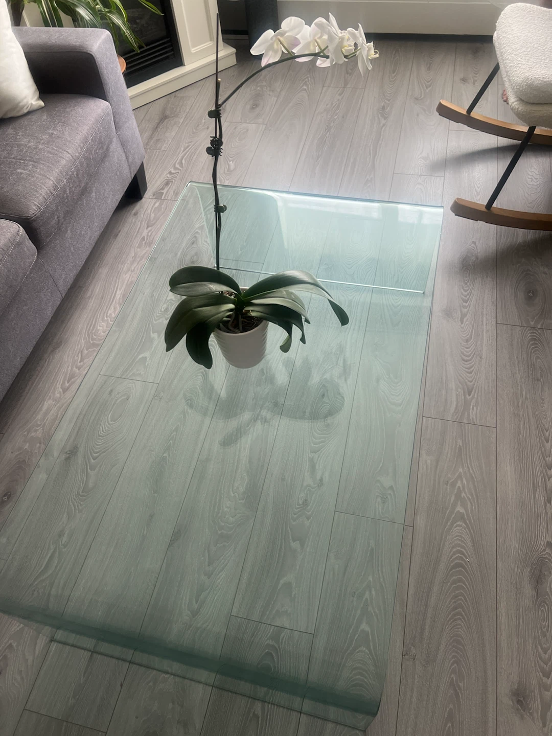 Curved Glass Coffee Table - photo 3