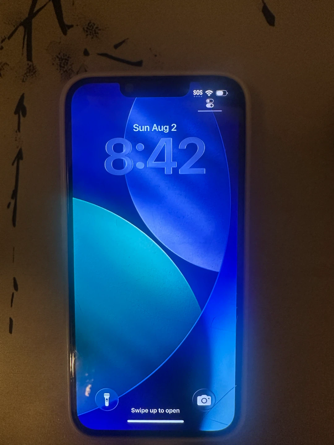 iPhone 13 128GB (100%)