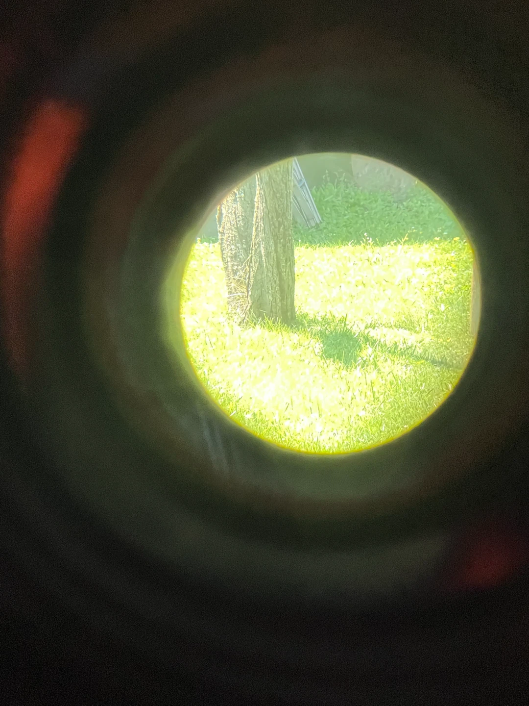 MagniCon Rapid Focus Binoculars - photo 2