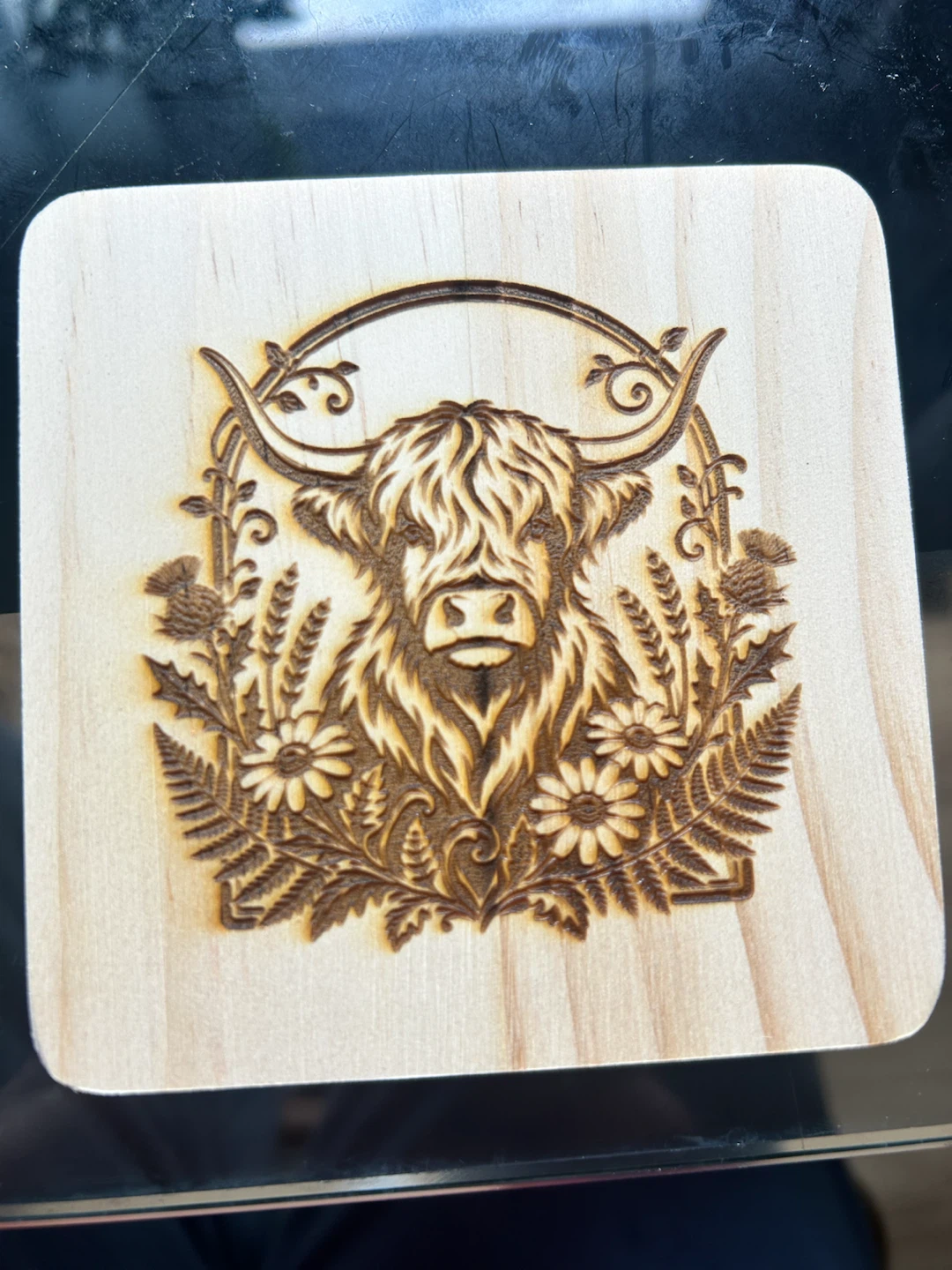 Custom Coasters - photo 4