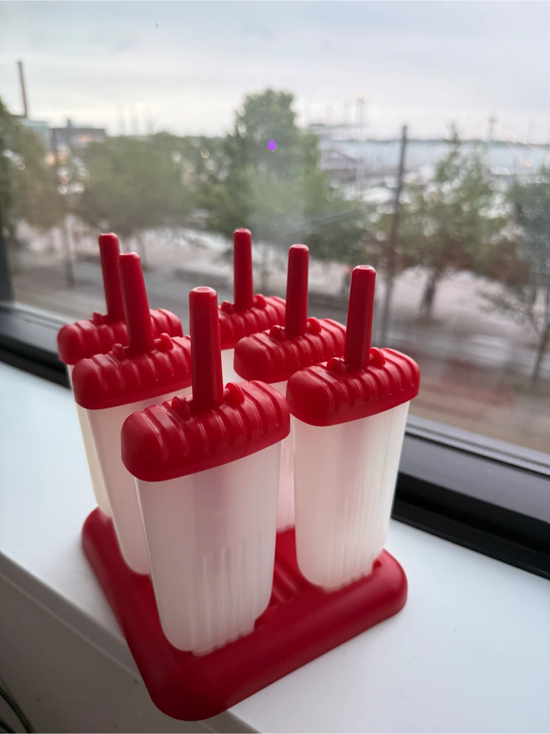 Popsicle molds with holder