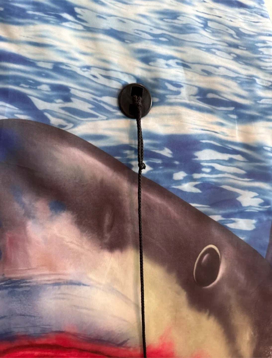Shark Print Bodyboard with Leash FREE - photo 2