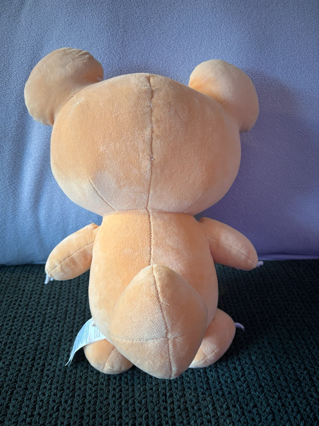 Pokemon Build-A-Bear Teddiursa Plush Toy - photo 4
