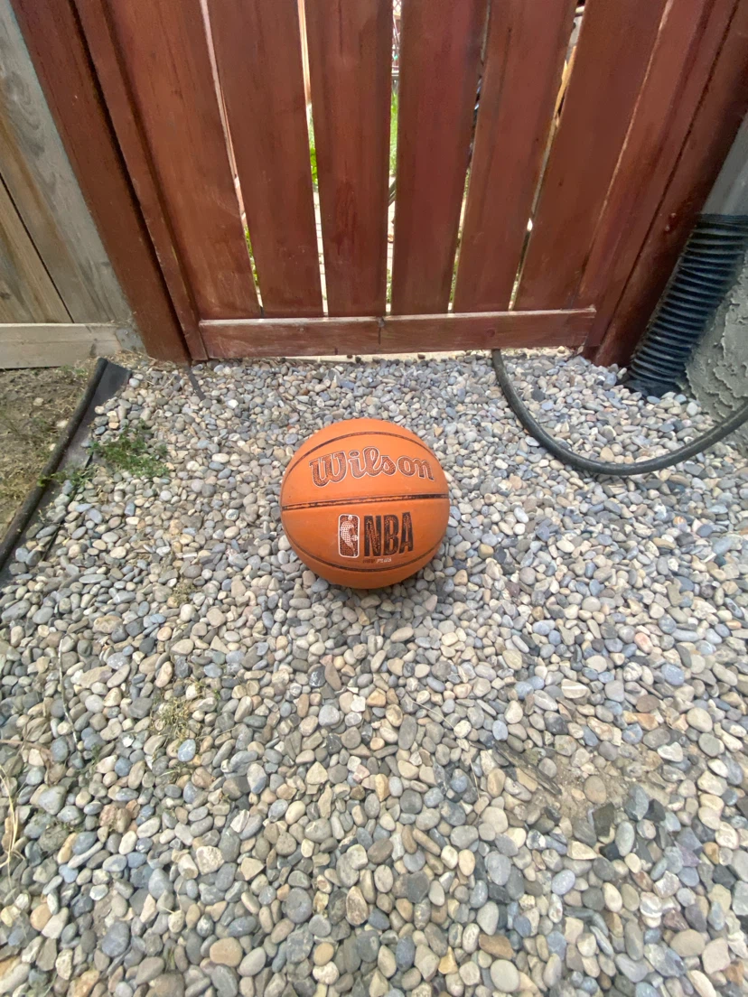 Wilson NBA Basketball