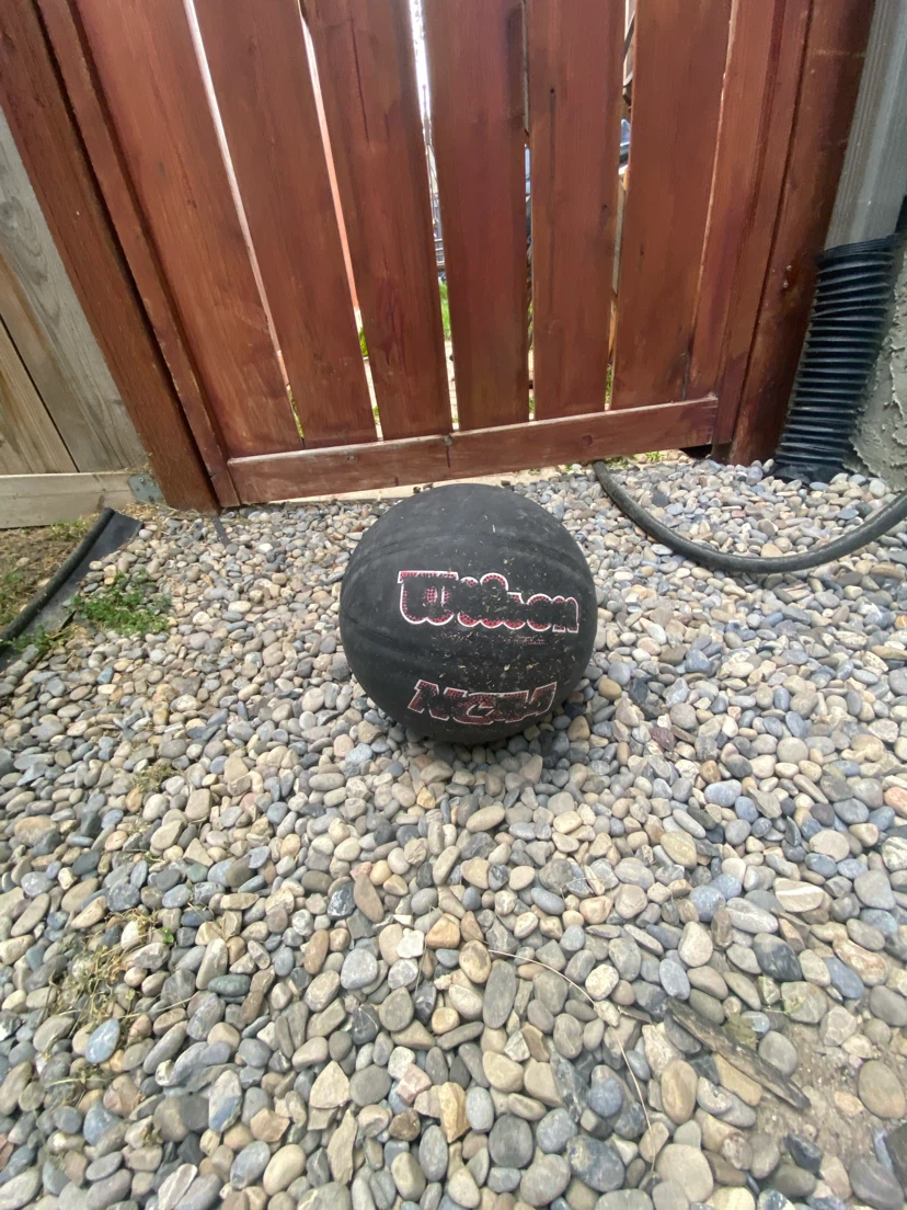 Wilson Basketball