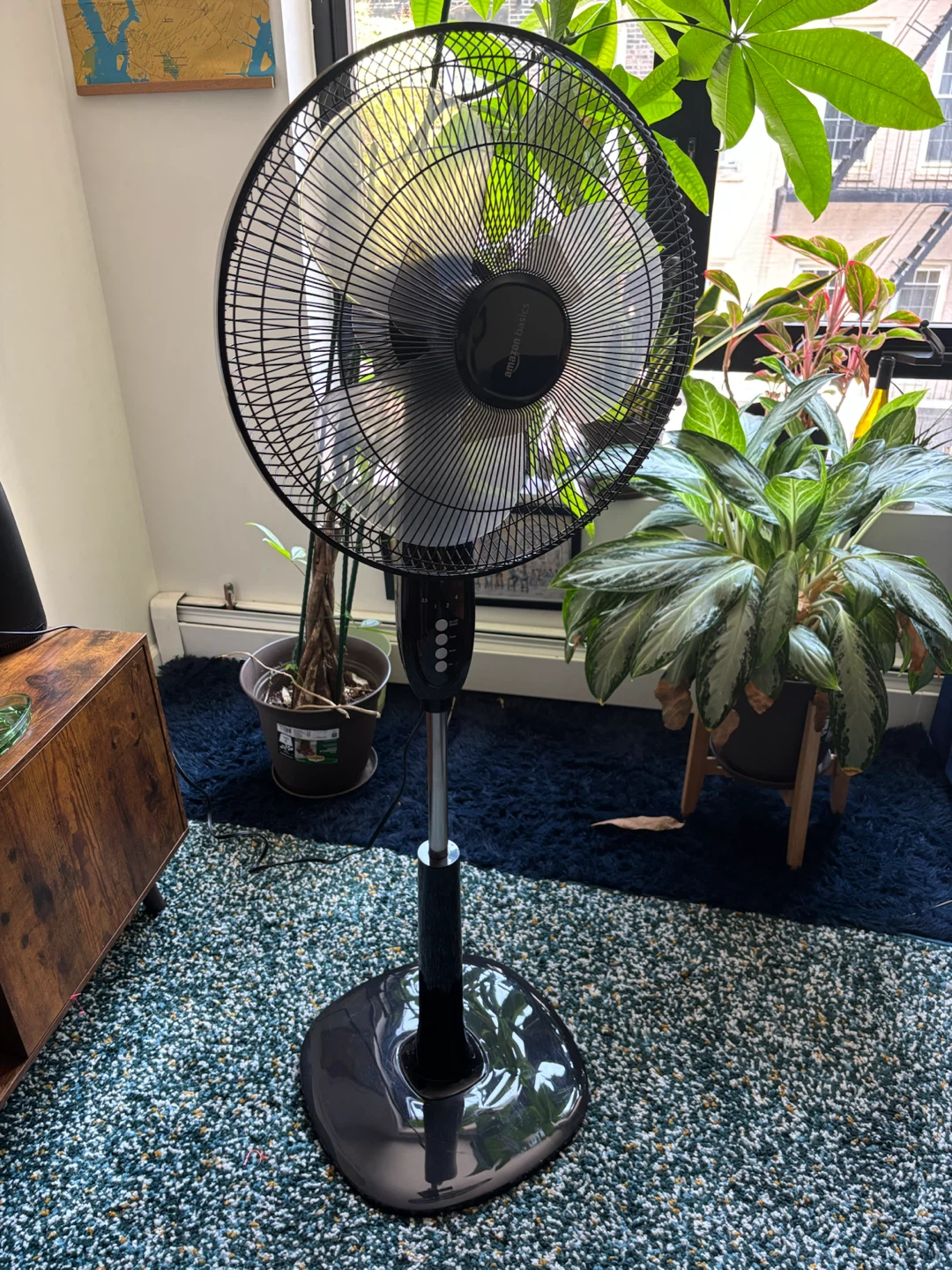 Amazon Basics Standing Fan