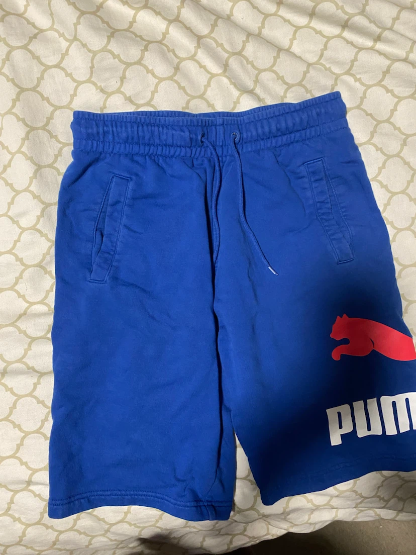 Puma Blue Athletic Shorts