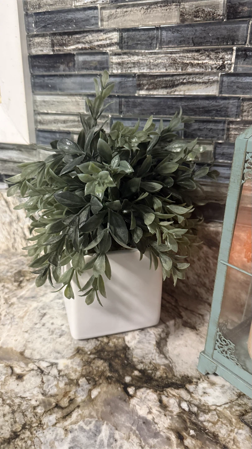Artificial Green Plant in White Pot