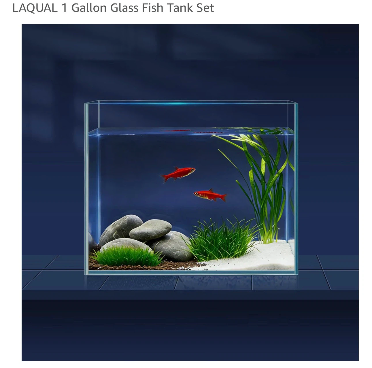 LAQUAL 1 Gallon Glass Fish Tank Set FT2