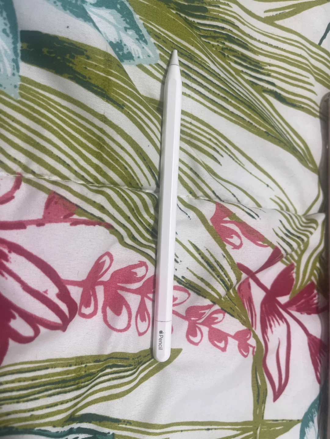 Apple Pencil (1st generation) broken the tip
