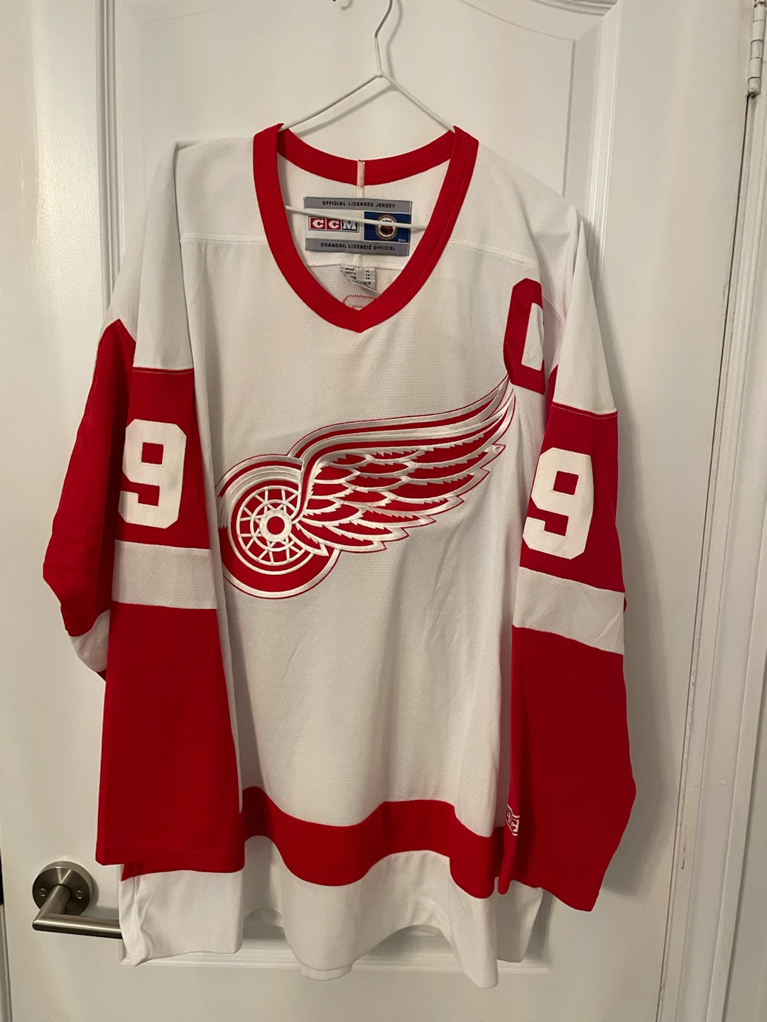 Detroit Red Wings Jersey