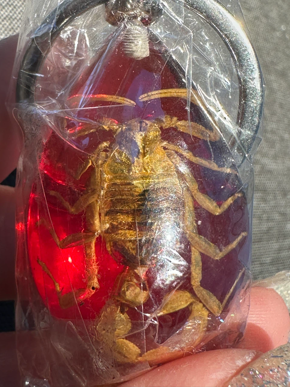 NEW Scorpion in Resin Keychain