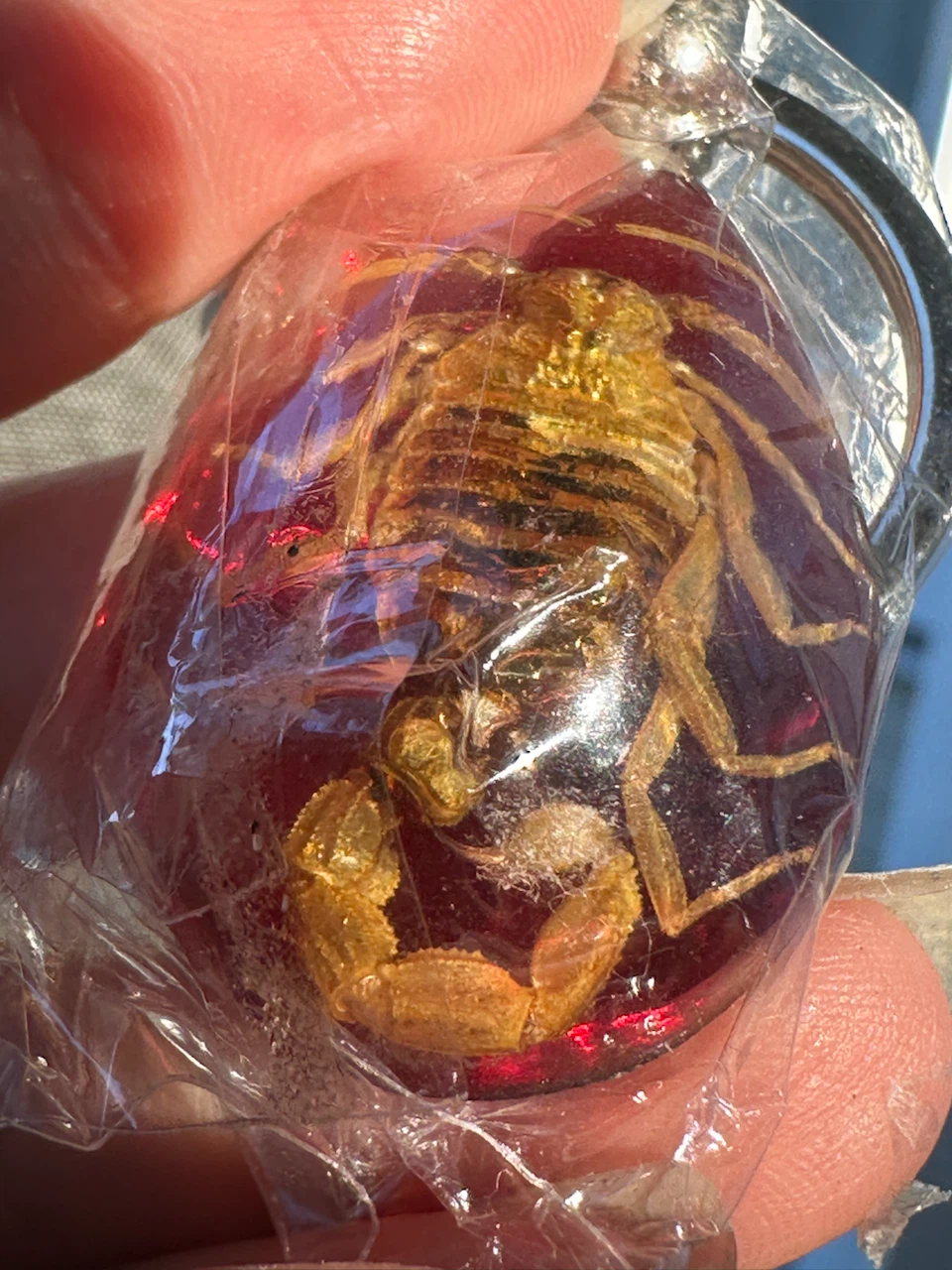 NEW Scorpion in Resin Keychain - photo 3