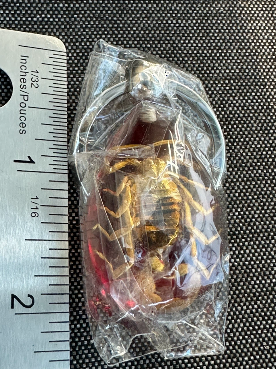 NEW Scorpion in Resin Keychain - photo 5