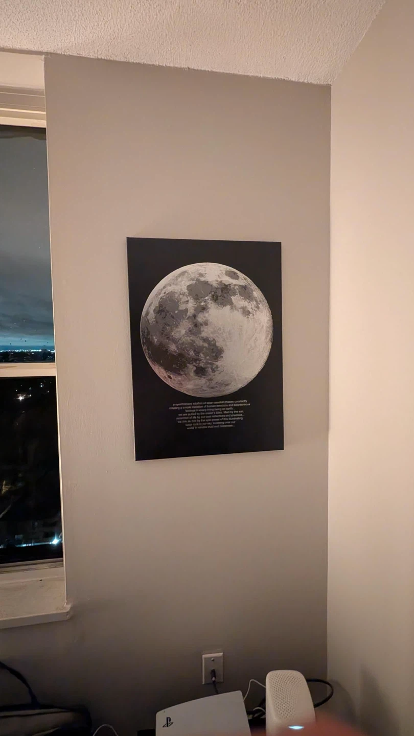 Moon Phase Wall Art