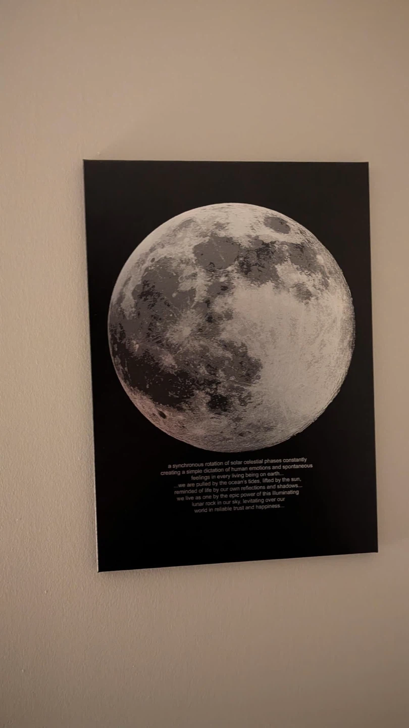 Moon Phase Wall Art - photo 2
