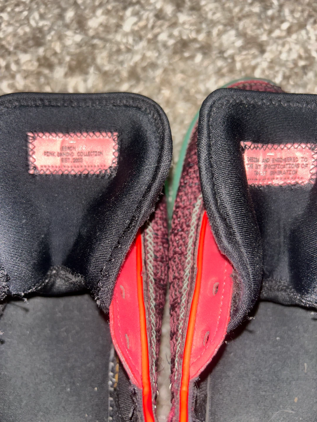 Nike Lebron Shoe - photo 5