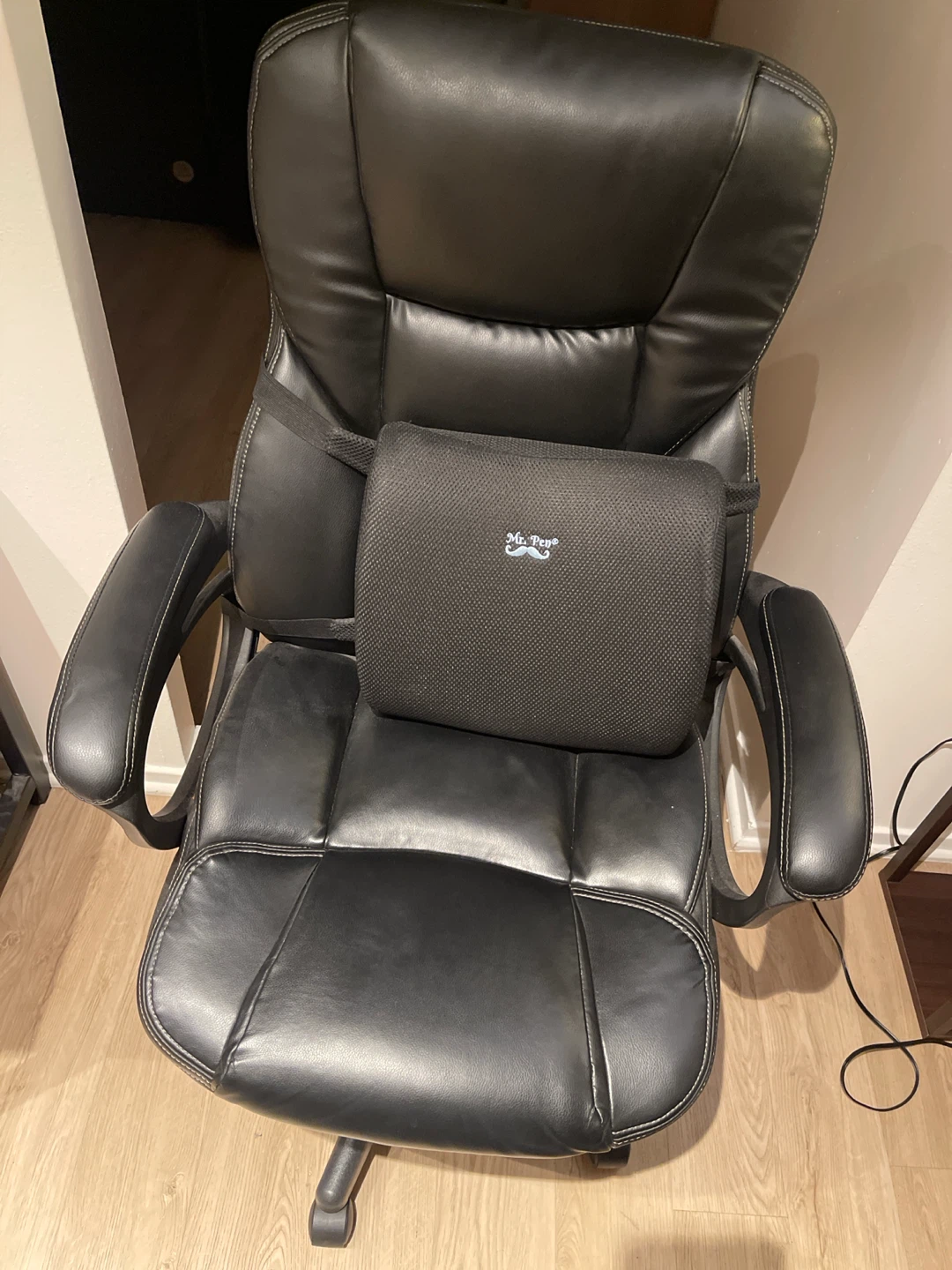 Working/office chair with back rest