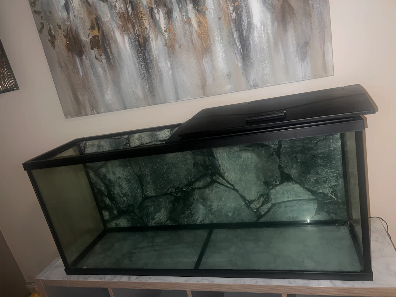 55 Gallon Large Aquarium Tank with Rock Background