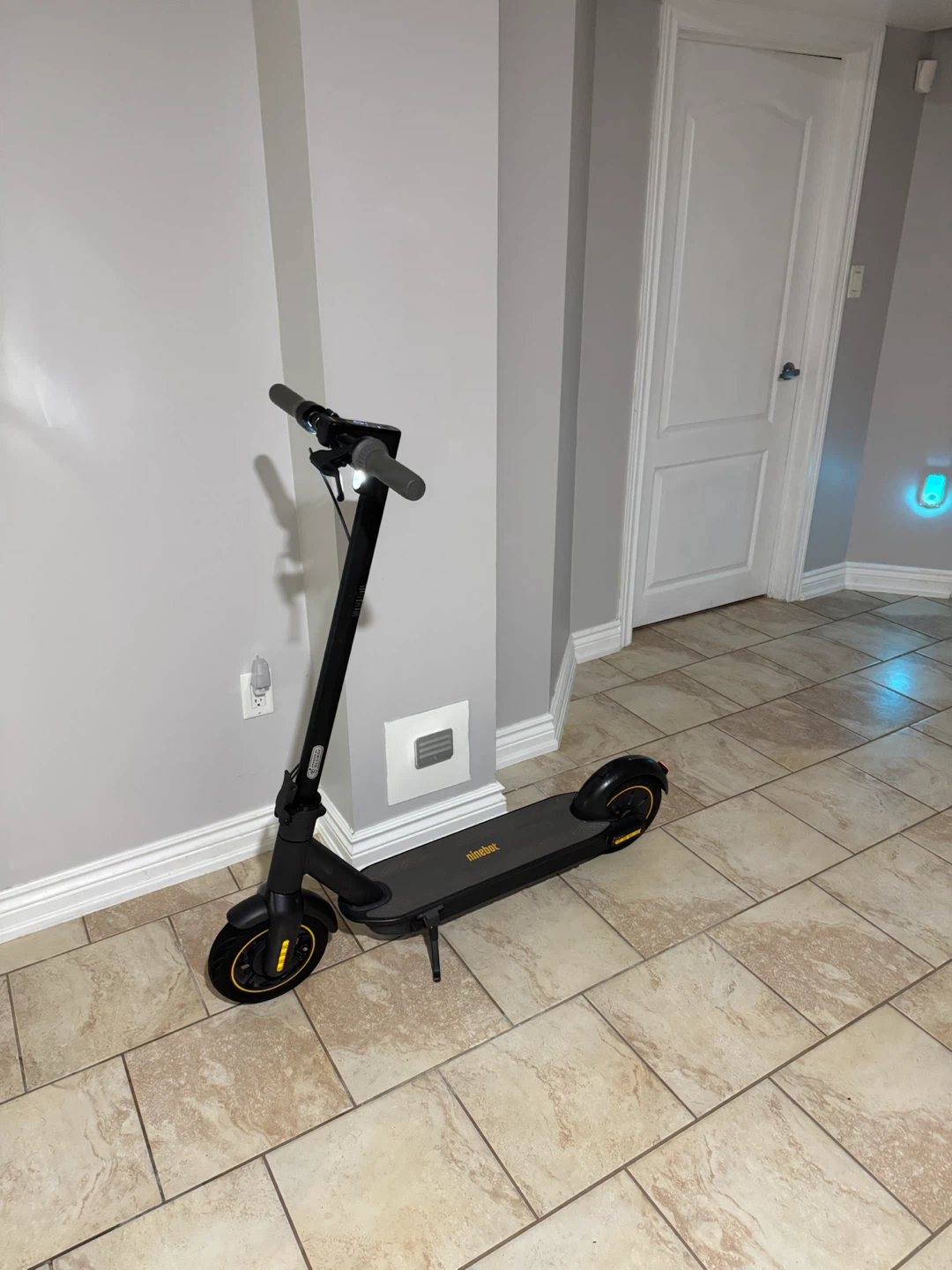 Ninebot Electric Scooter