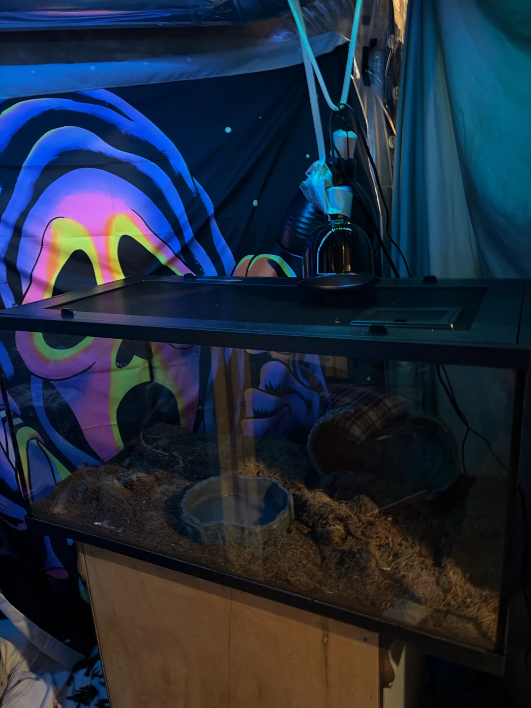 Glass Terrarium with Accessories