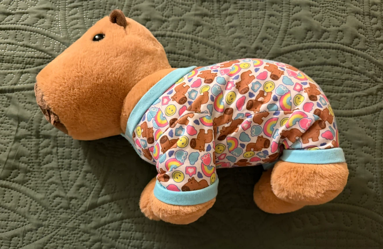 Build-A-Bear Capybara Stuffed Animal