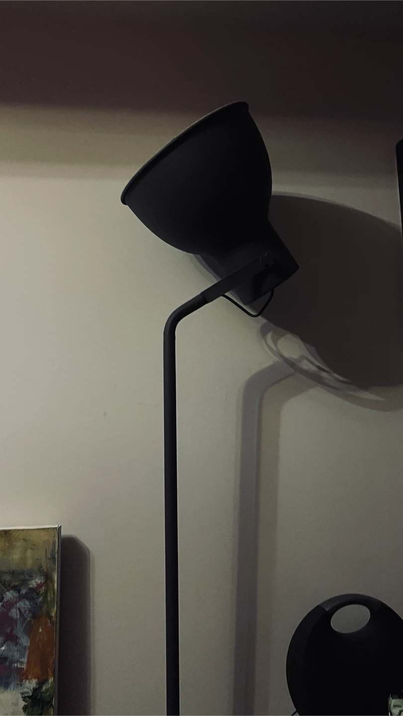 IKEA Black Floor Lamp