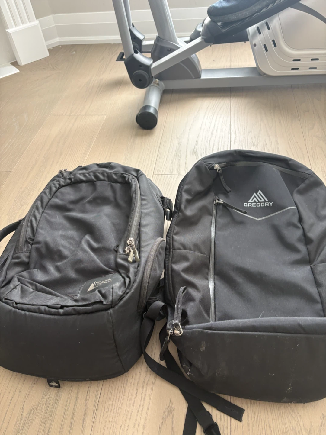 Gregory Backpack